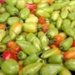 Recette de piment végétarien épicé et savoureux