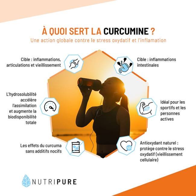 Curcuma : Entre Bienfaits et Risques Potentiels pour la Santé