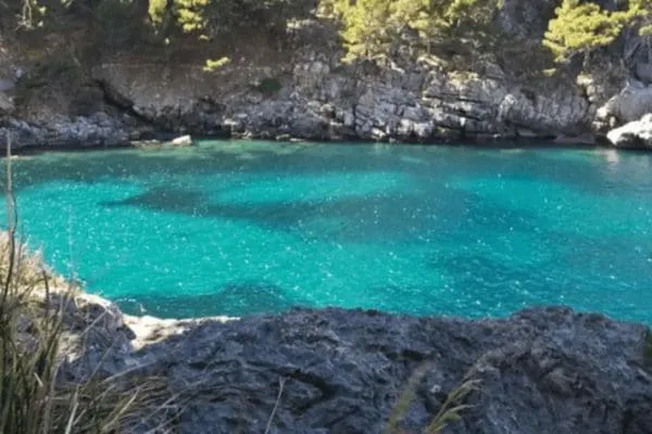 Écotourisme à Majorque : Des Vacances Responsables sur l’Île