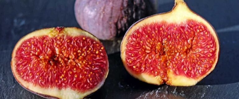 Les figues: Trésors de l’été et bienfaits sur la santé