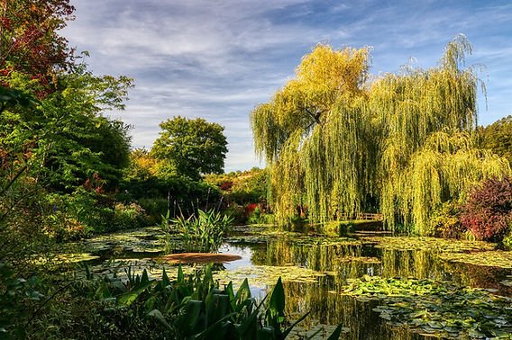 Giverny : Plongée dans le jardin impressionniste de Claude Monet