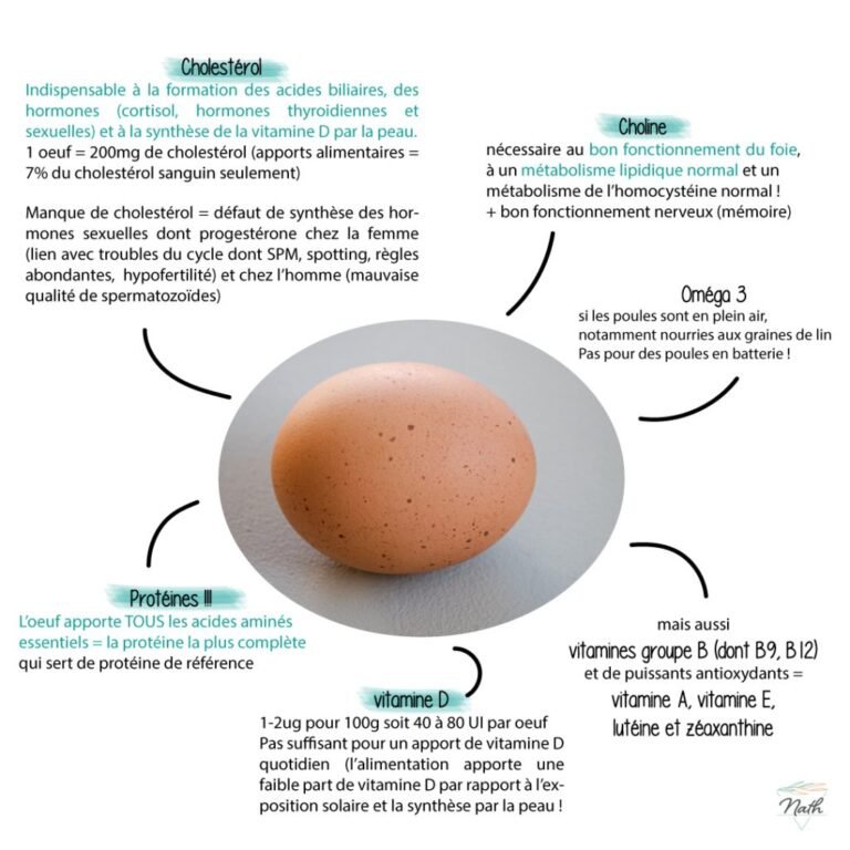 Les bienfaits de l’oeuf dans la nutrition post-entraînement