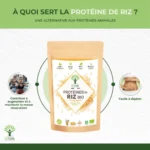 Protéine de riz : des recettes savoureuses pour booster votre musculation