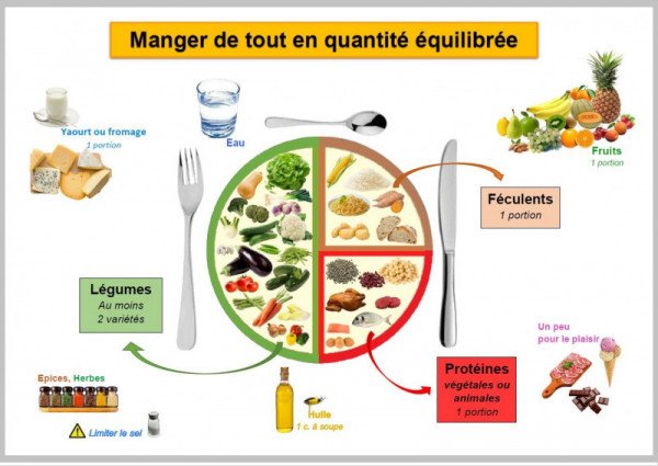 Les secrets d’une alimentation équilibrée pour les sportifs