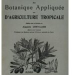 Voici plusieurs suggestions de titres pour des articles en français sur la saison de la mangue :