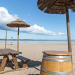 Les joyaux culinaires de Biscarrosse Plage : À la découverte des meilleurs restaurants côtiers