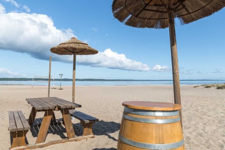 Les joyaux culinaires de Biscarrosse Plage : À la découverte des meilleurs restaurants côtiers