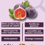 Bien sûr ! Voici quelques suggestions de titres d&rsquo;articles en français sur les bienfaits de la figue :