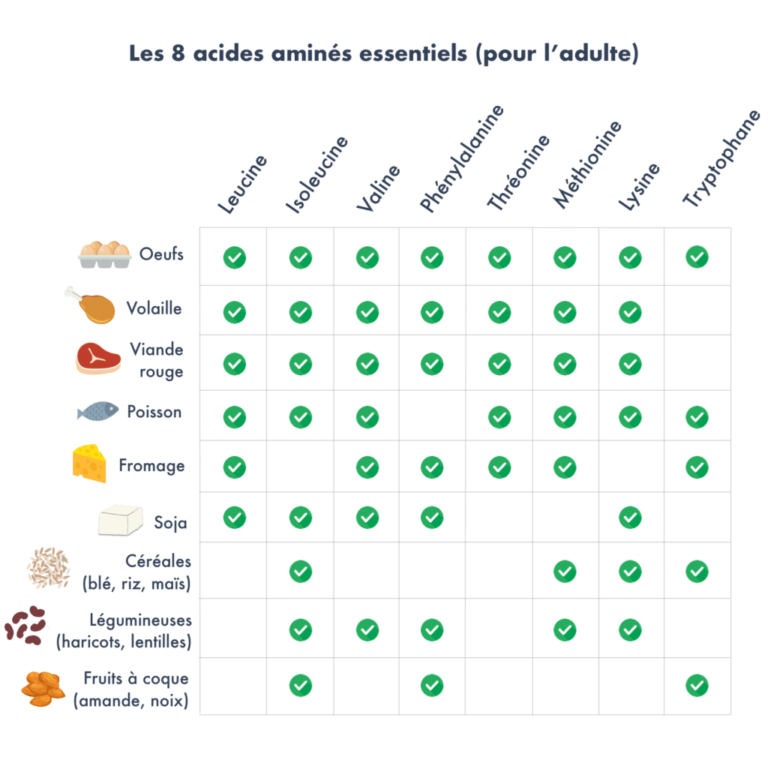 Le Guide Complet des Compléments Végétariens : Bénéfices et Bonnes Pratiques