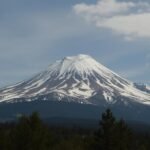 découvrez quels matériaux imputrescibles privilégier pour vos projets extérieurs afin d'assurer durabilité et résistance face aux intempéries.