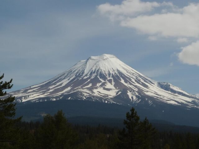 Imputrescible : quels matériaux choisir pour l’extérieur ?